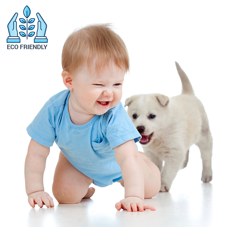 Organic Green Carpet Cleaning Houston TX