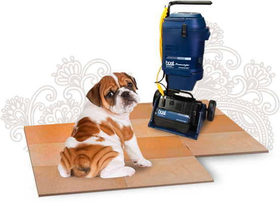 Organic Green Tile Cleaning Houston TX