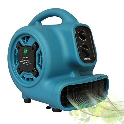 Organic Green Water Damage Cleaning Houston TX