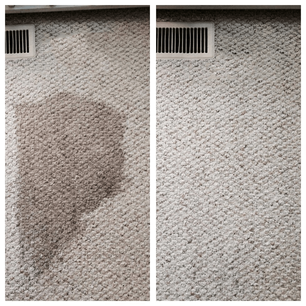 Professional Carpet Cleaning Service