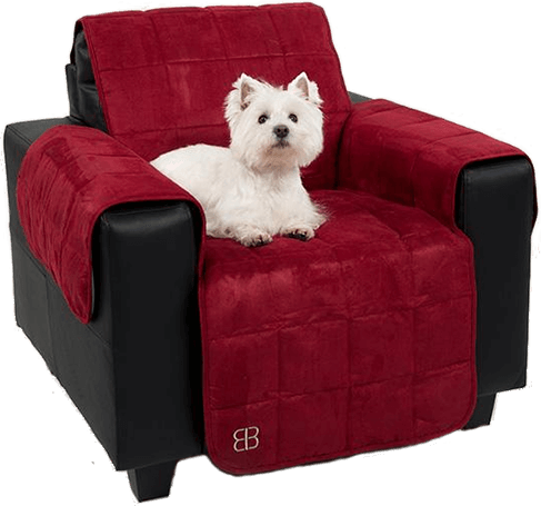 Organic Green Upholstery Cleaning Houston TX